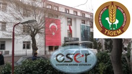 Foto Galeri